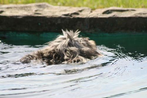 Habbel 05.06.10 509.jpg